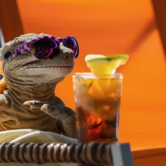 Gecko Sipping A Cocktail On The Beach