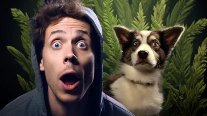 Man And Dog Shocked