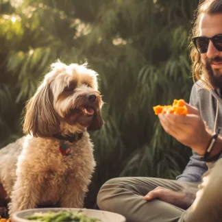 Man Camping With Dog